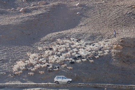 Kliknij, aby powiększyć zdjęcie.